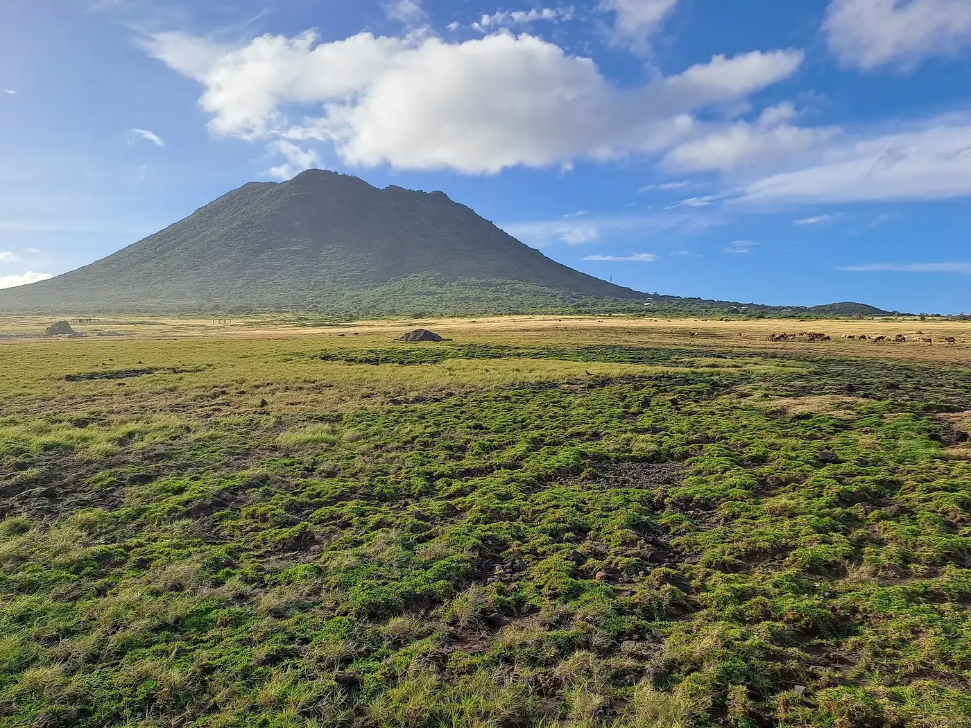 The Quill rising above the green landscape of Statia