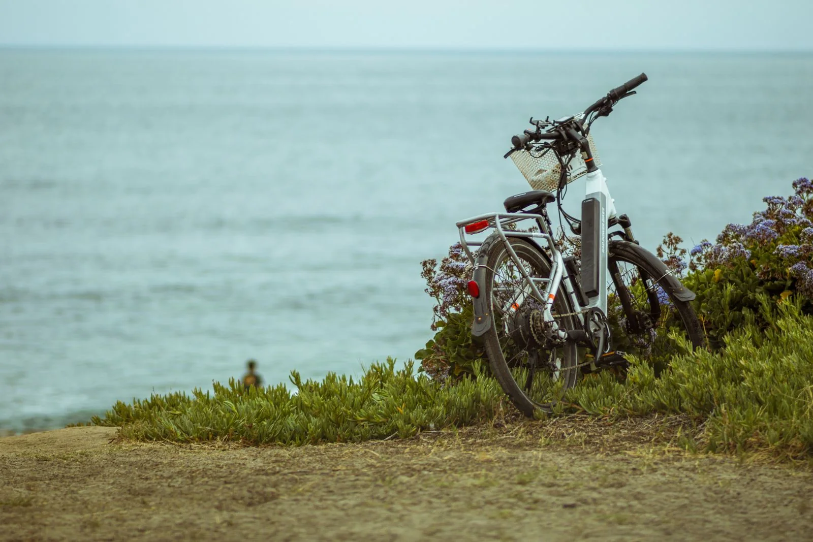 E-bikes