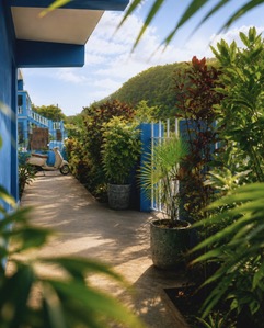 Cattleya Flor Hotel on Sint Eustatius