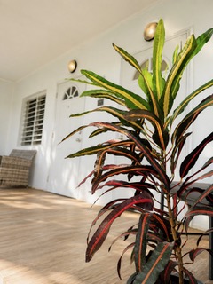 The shaded veranda at Cattleya Flor Hotel