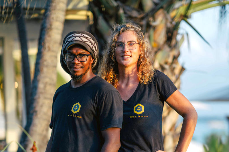 Celbees on Sint Eustatius