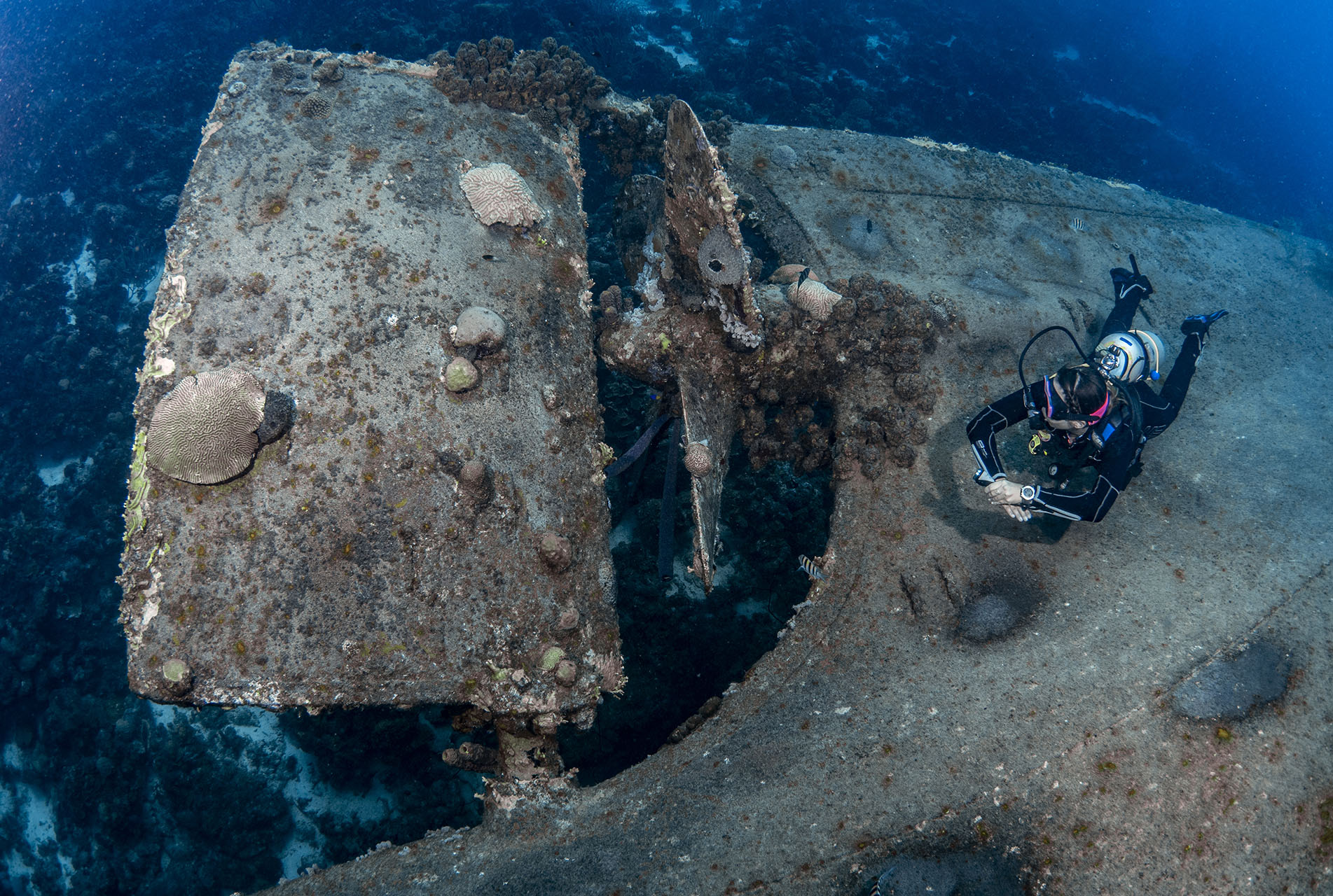 The Shipwreck Survey on Sint Eustatius